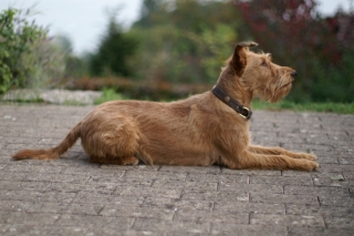 KONICA MINOLTA DIGITAL CAMERA