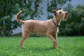 KONICA MINOLTA DIGITAL CAMERA